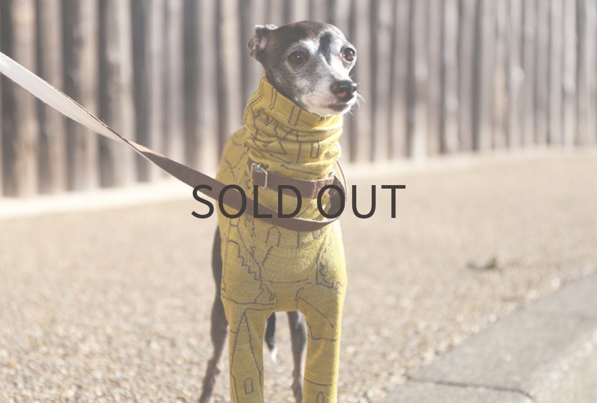 画像4: home（サフラン）〜MLサイズまで (4)