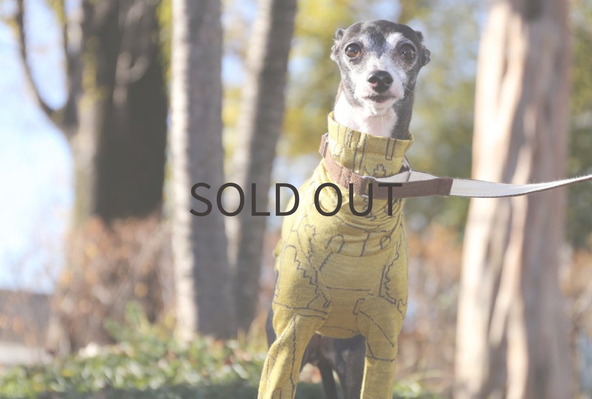 画像2: home（サフラン）〜MLサイズまで (2)