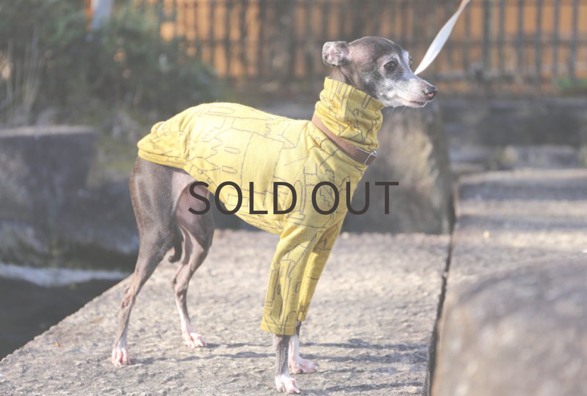 画像5: home（サフラン）〜MLサイズまで (5)