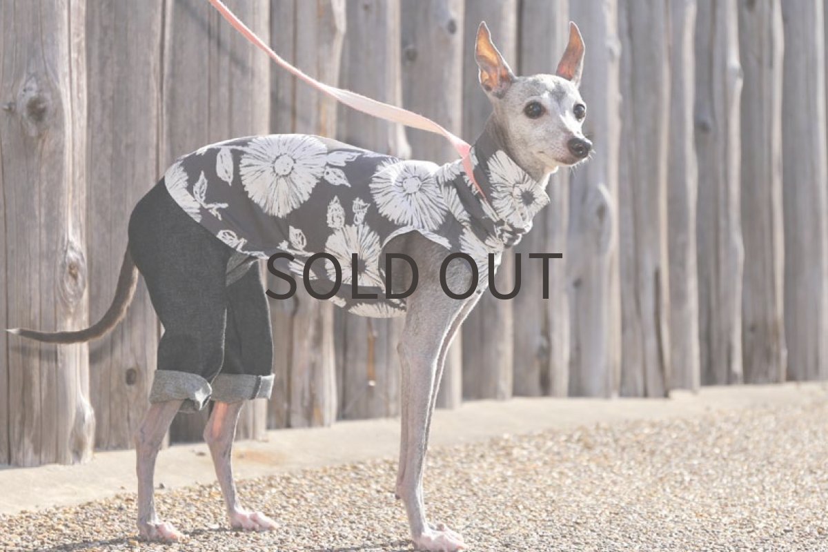 画像2: 花とデニム（アッシュグレー）〜ノースリーブ、ネックショート丈まで (2)