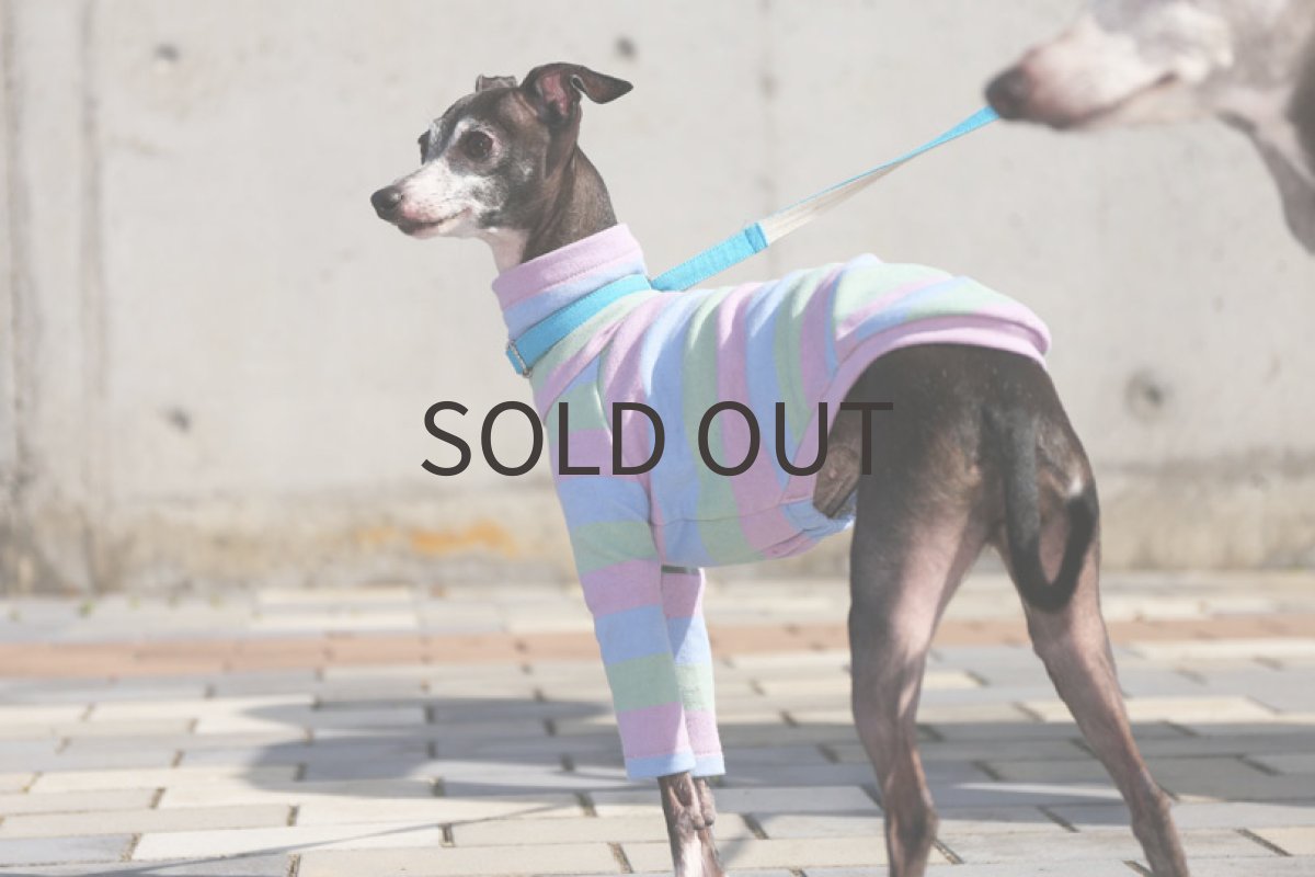 画像4: キャンディボーダー（マリブミント）〜LLサイズまで (4)