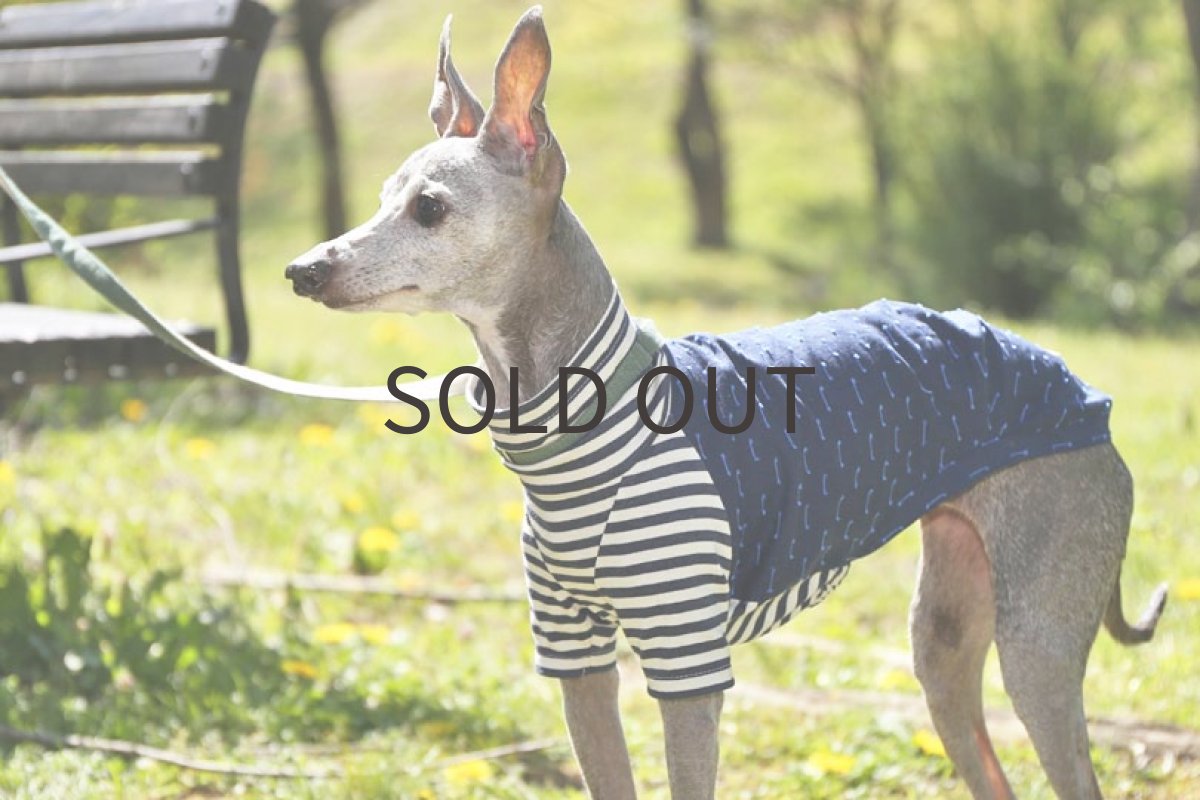 画像4: イタリー製リネンコットン（ブルー）〜Sサイズまで (4)