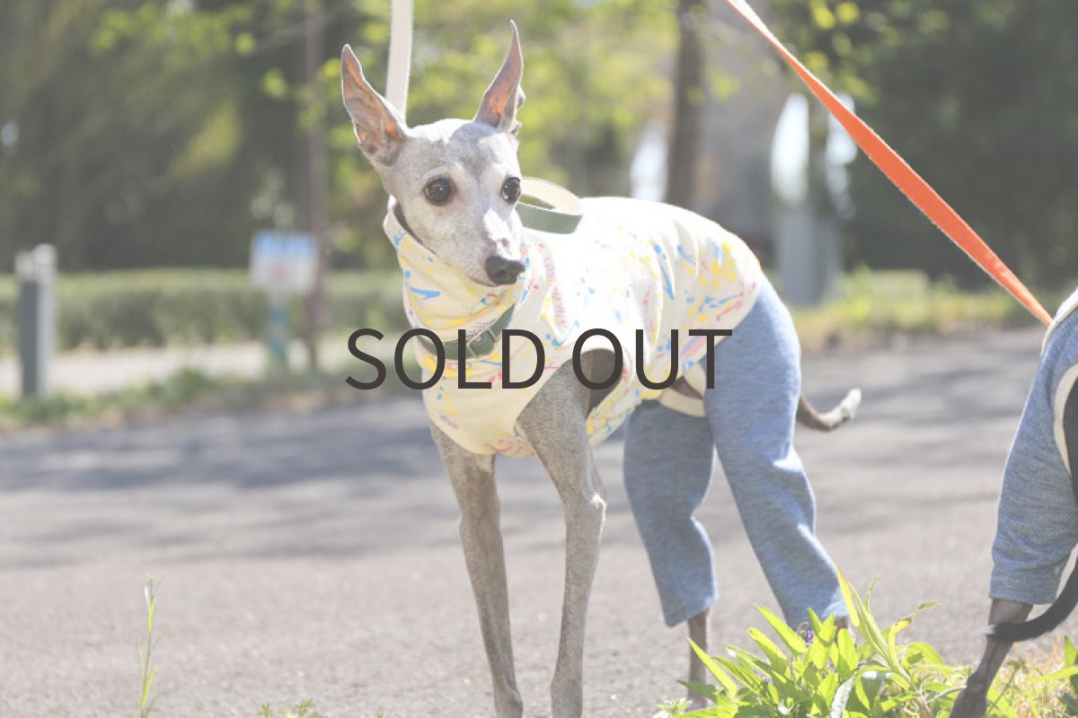 画像5: スプラッシュ！（ストロベリー×カナリー） (5)