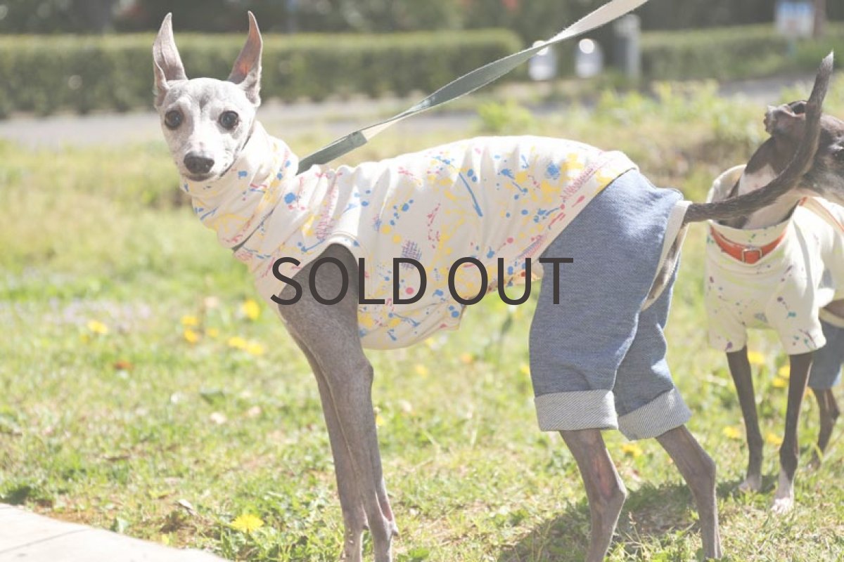 画像4: スプラッシュ！（ストロベリー×カナリー） (4)