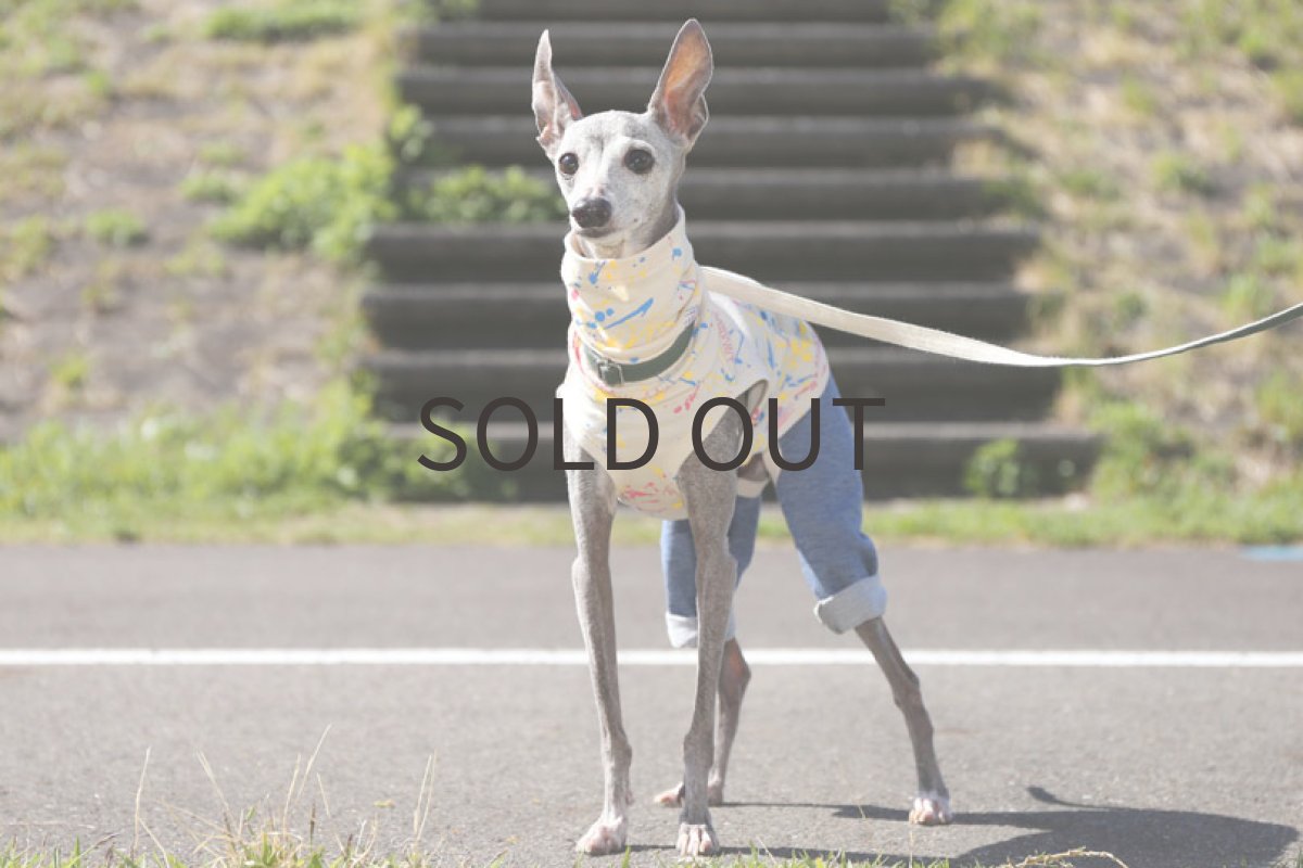 画像2: スプラッシュ！（ストロベリー×カナリー） (2)