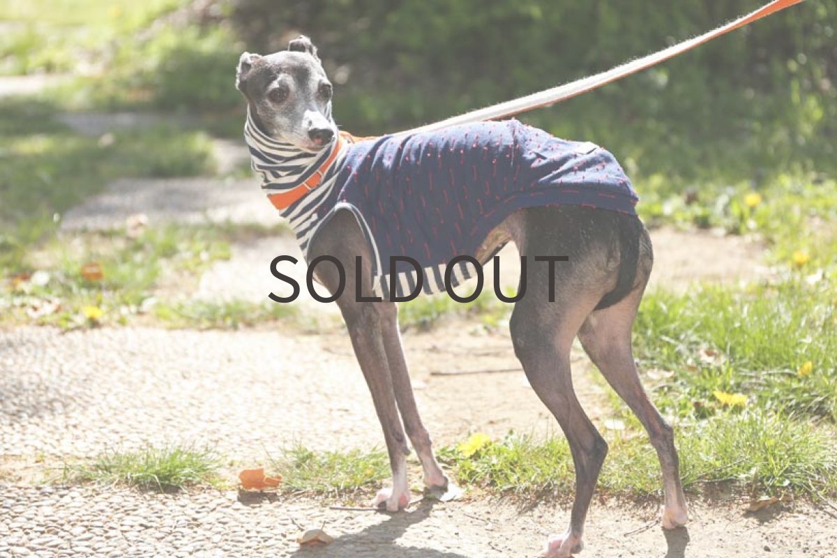 画像2: イタリー製リネンコットン(レッド) (2)