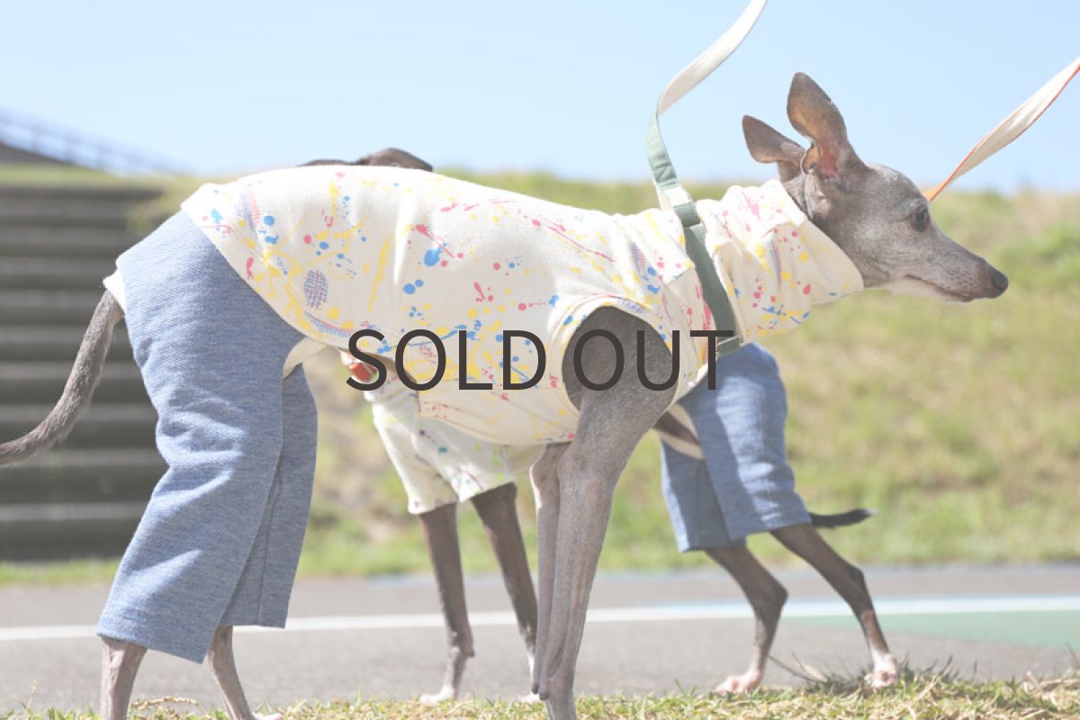 画像3: スプラッシュ！（ストロベリー×カナリー） (3)