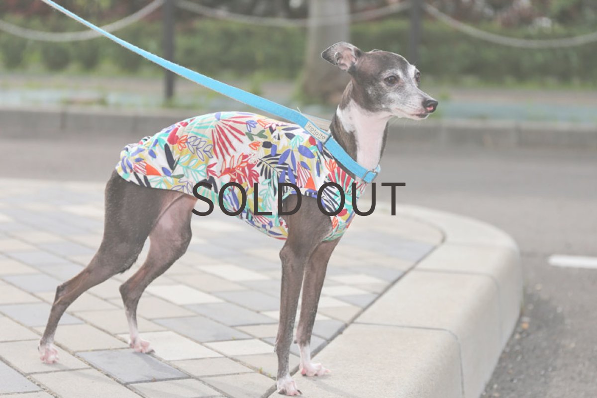 画像3: Italy製プリント（レトロ）〜Mサイズまで、ノースリーブのみ (3)