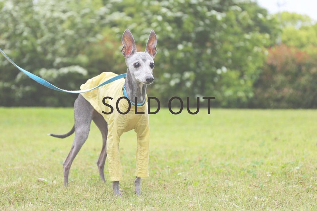 画像4: リップルドット（カナリーイエロー）〜LLサイズ、ノースリーブまで (4)