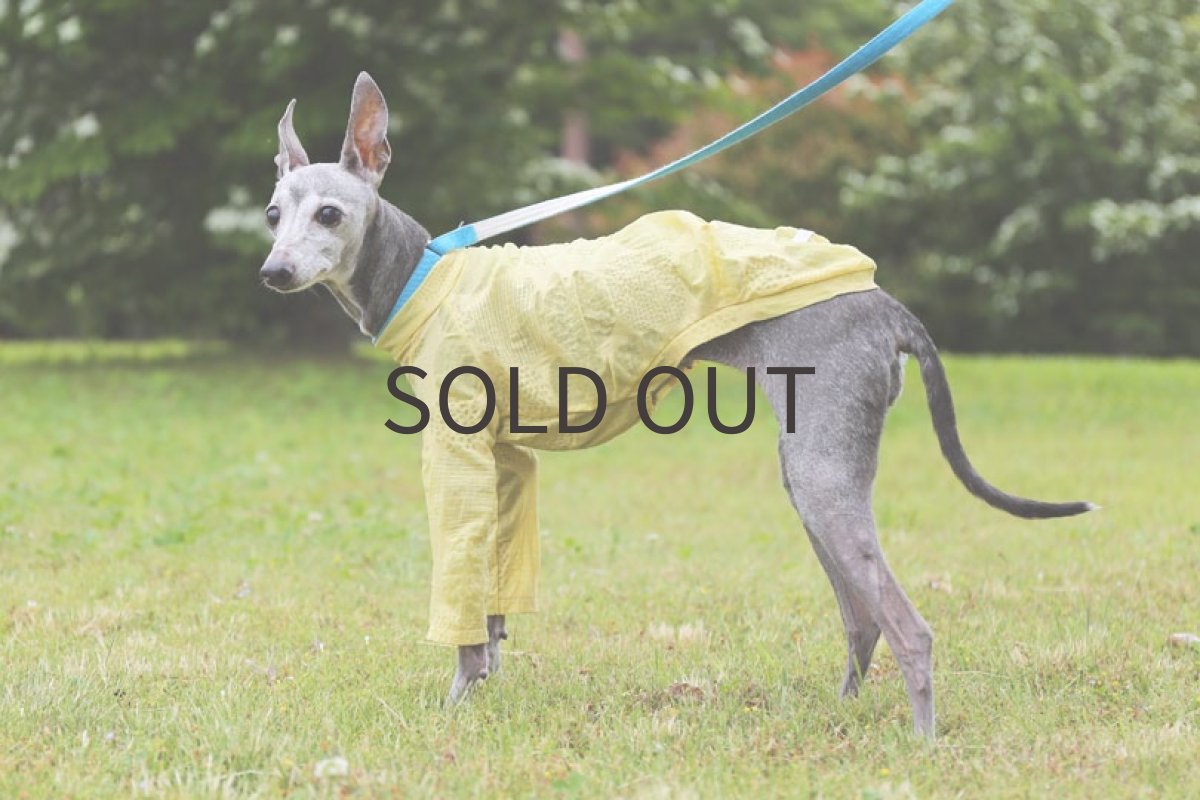 画像2: リップルドット（カナリーイエロー）〜LLサイズ、ノースリーブまで (2)