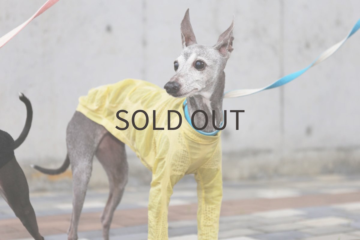 画像5: リップルドット（カナリーイエロー）〜LLサイズ、ノースリーブまで (5)