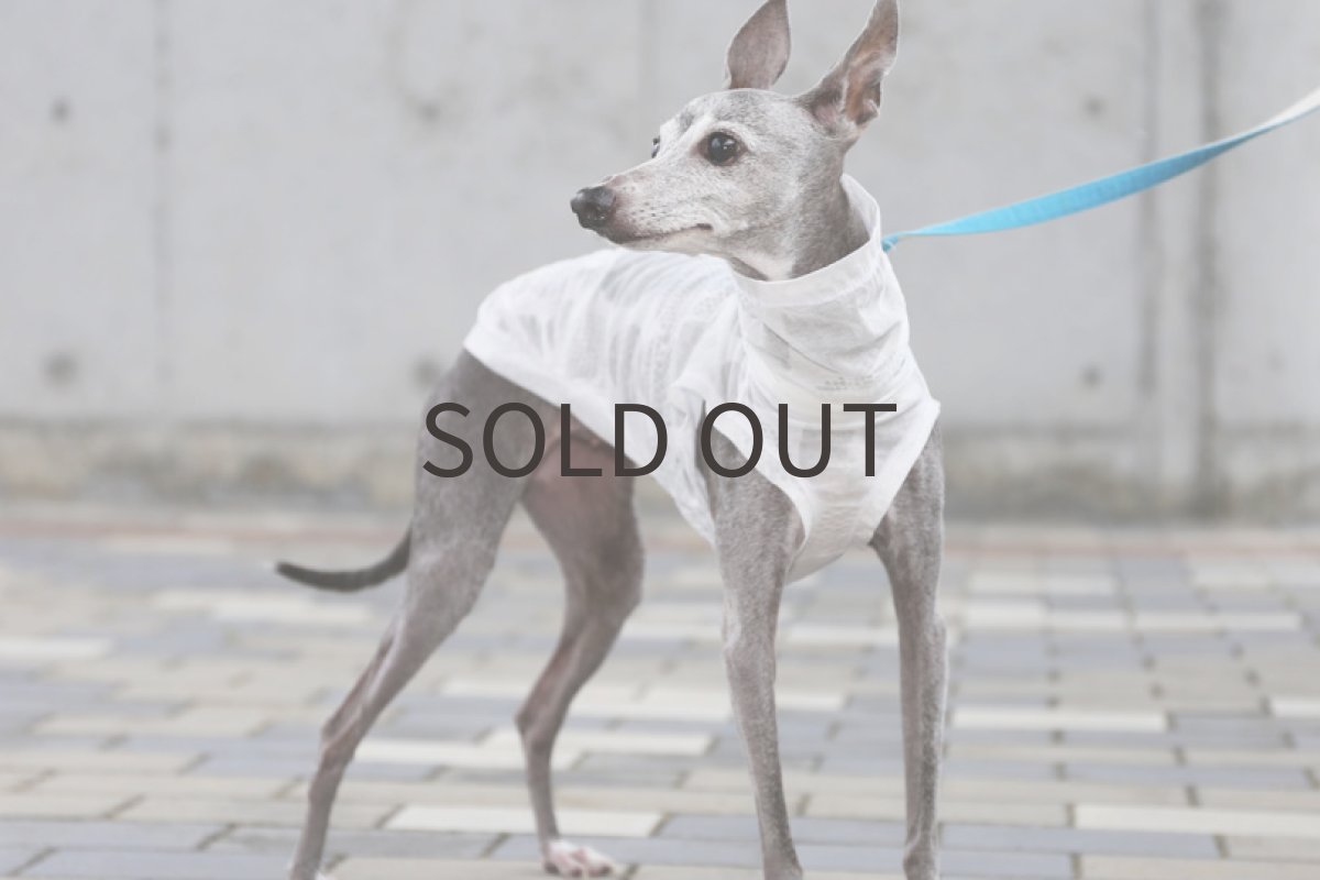 画像4: リップルドット（ホワイト）〜ノースリーブまで (4)