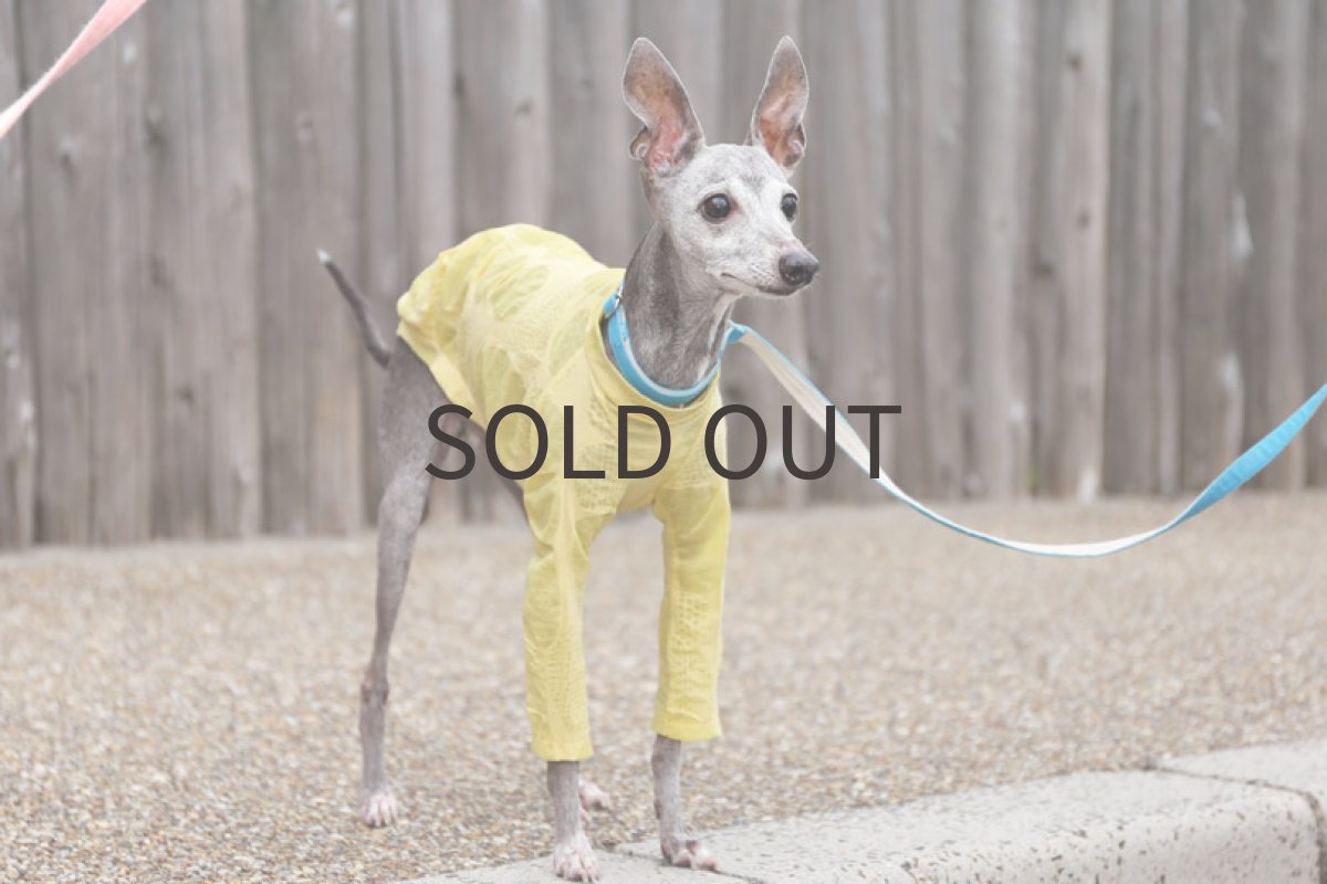 画像3: リップルドット（カナリーイエロー）〜LLサイズ、ノースリーブまで (3)