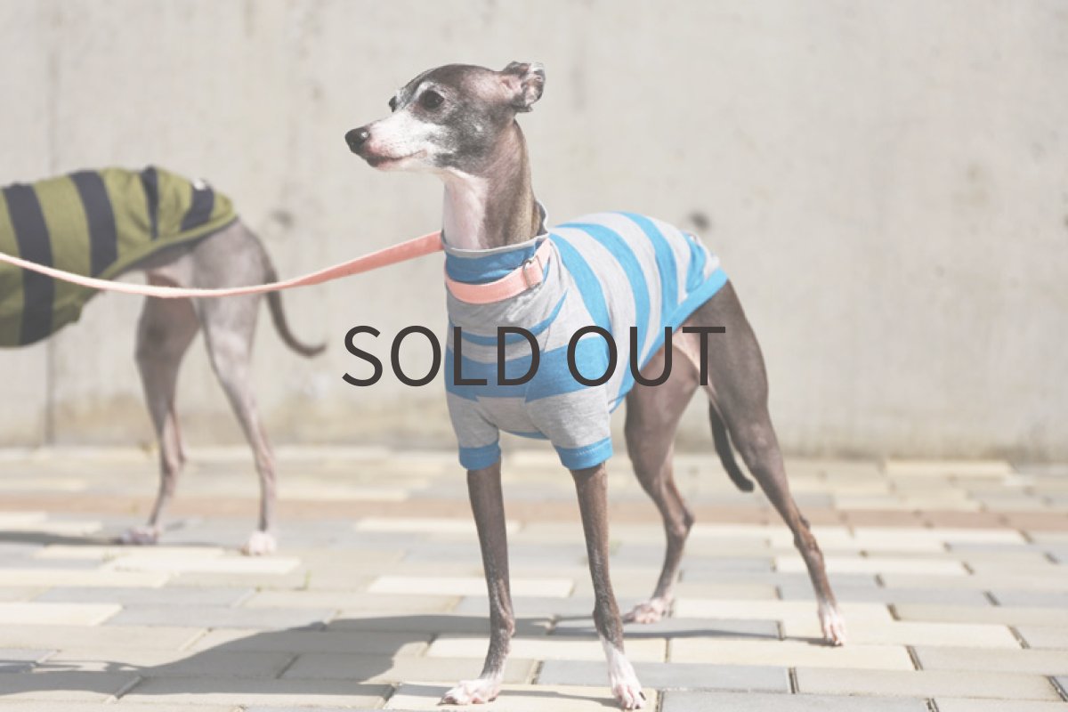 画像3: ボーダー強撚天竺ニット（ブルー×グレー）〜MSサイズ、ノースリーブまで (3)