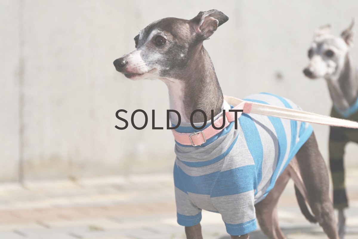 画像4: ボーダー強撚天竺ニット（ブルー×グレー）〜MSサイズ、ノースリーブまで (4)