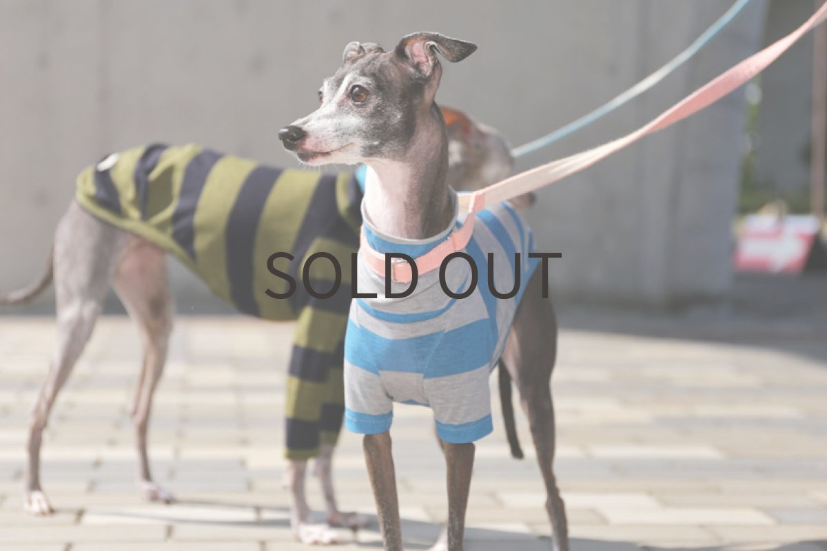 画像2: ボーダー強撚天竺ニット（ブルー×グレー）〜MSサイズ、ノースリーブまで (2)