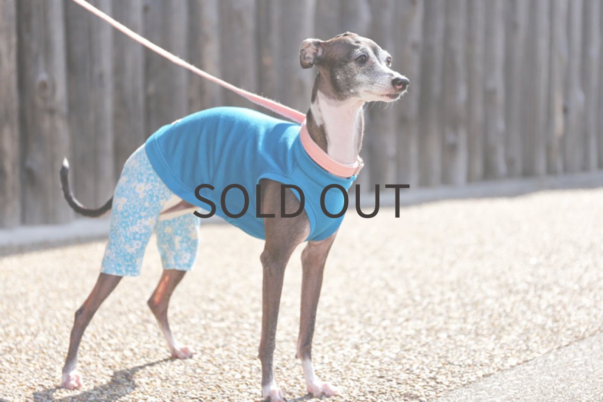 画像2: 綿麻ニットシャツのロンパース（セルリアンブルー） (2)