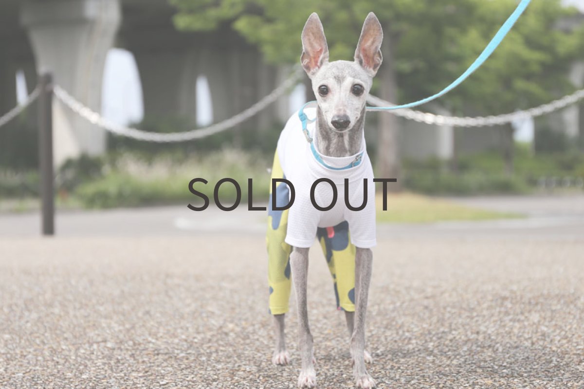 画像4: メロウカモフラ＋メッシュ（ホワイト） (4)