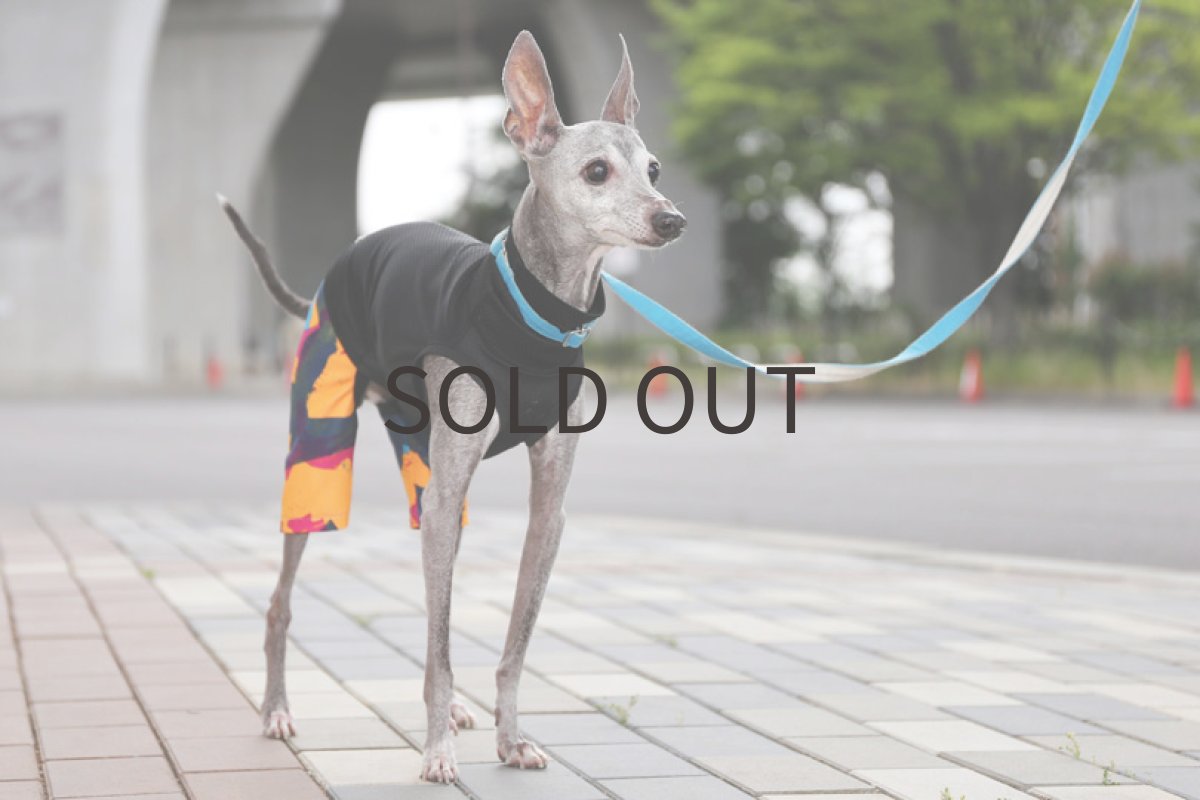 画像3: サイバー＋メッシュ（ブラック）〜ノースリーブのみ (3)