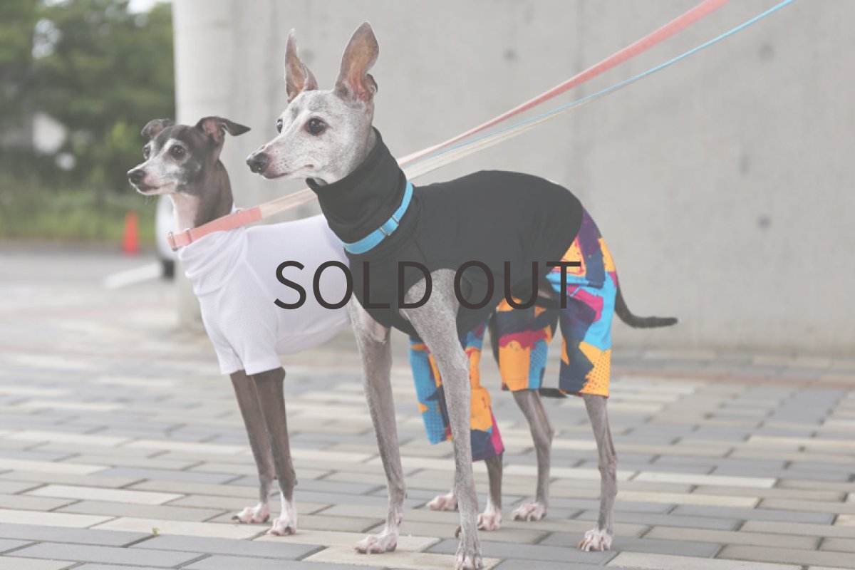 画像2: サイバー＋メッシュ（ブラック）〜ノースリーブのみ (2)