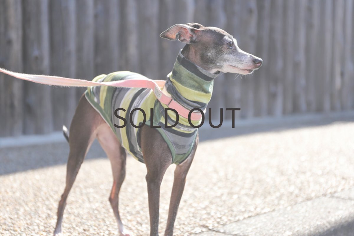 画像3: ブラードボーダー（ウッズ）〜ノースリーブまで (3)