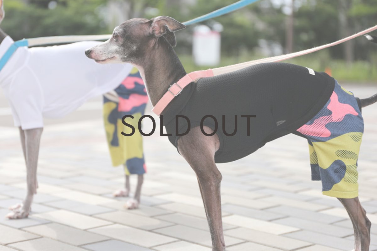 画像2: メロウカモフラ+メッシュ(ブラック) (2)