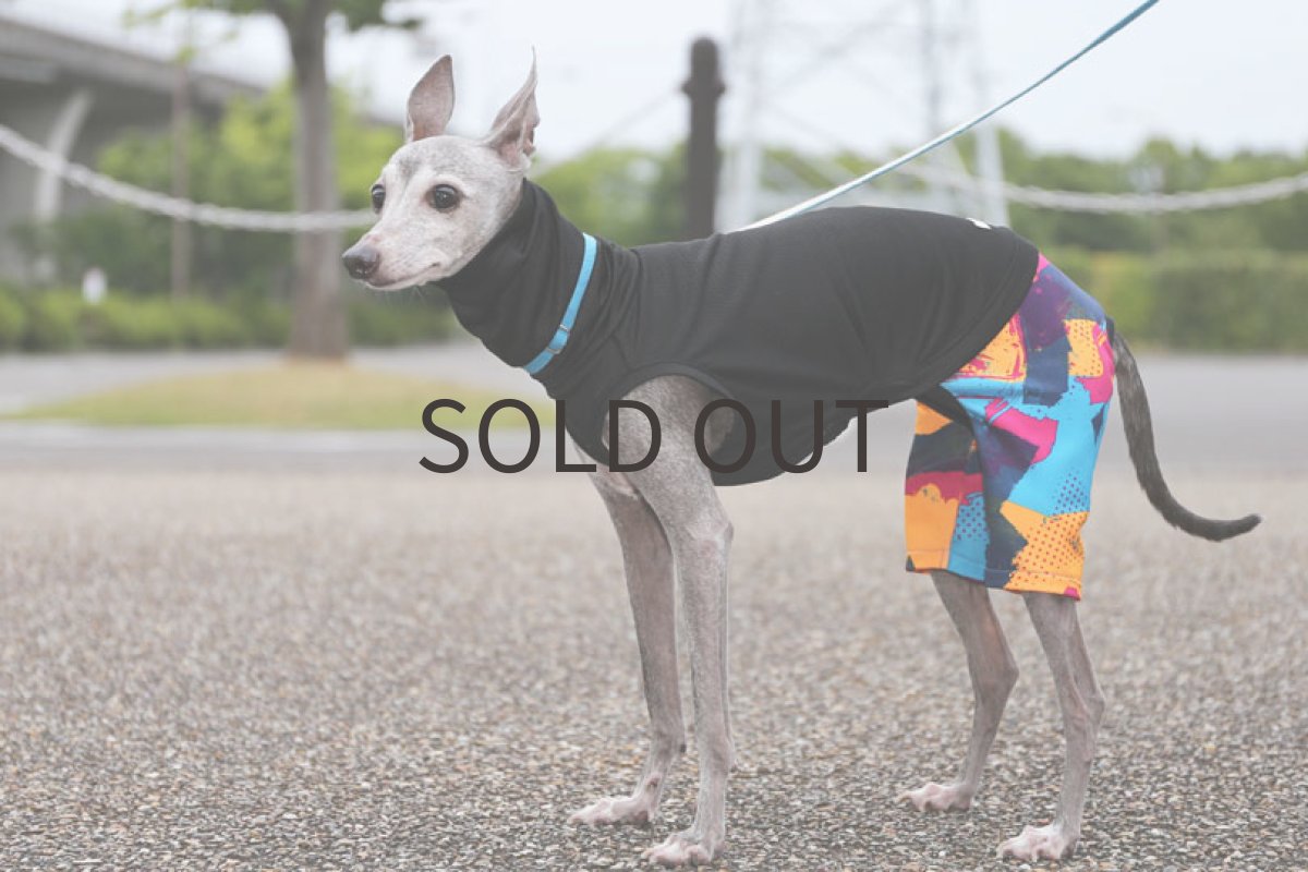 画像4: サイバー＋メッシュ（ブラック）〜ノースリーブのみ (4)