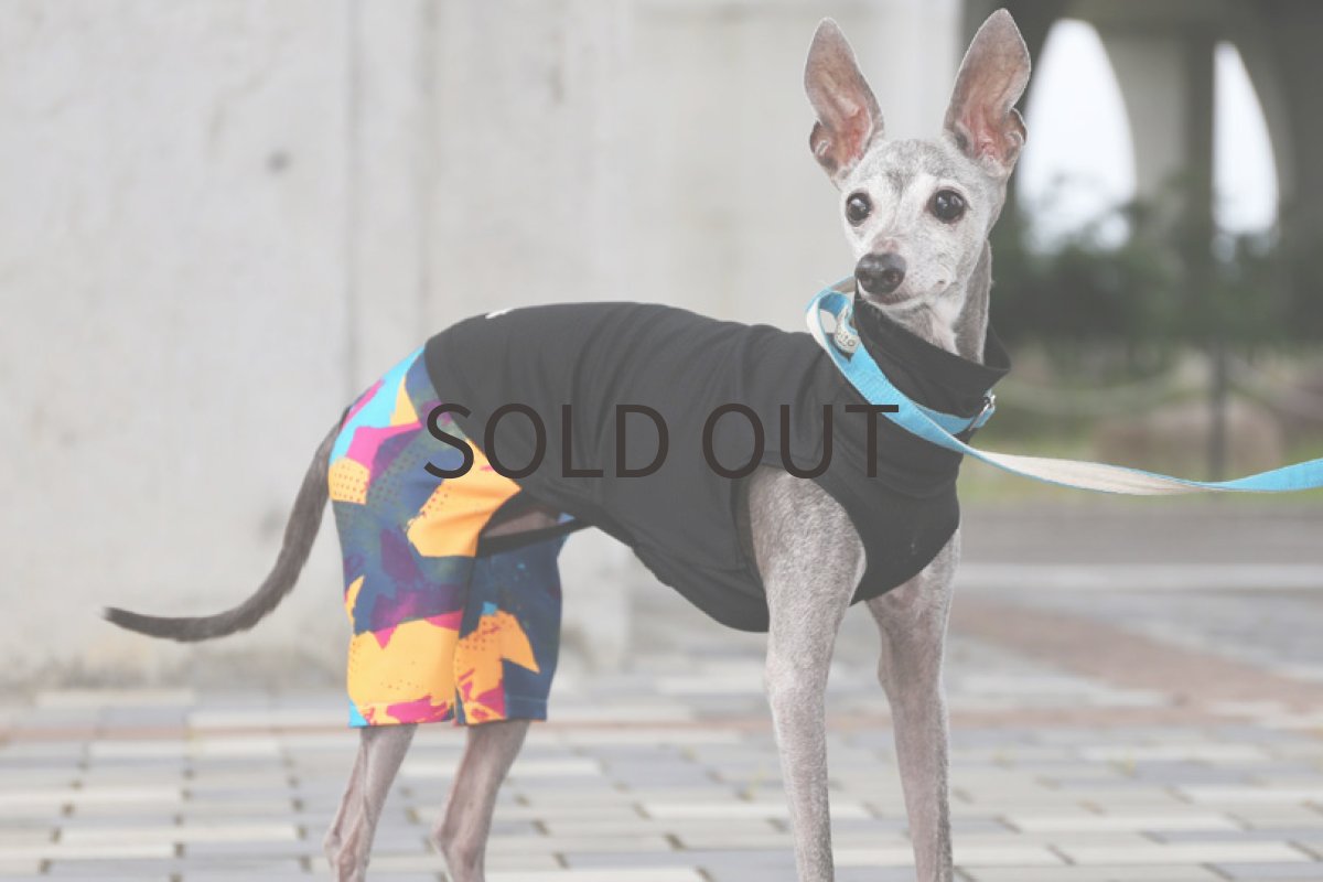 画像5: サイバー＋メッシュ（ブラック）〜ノースリーブのみ (5)