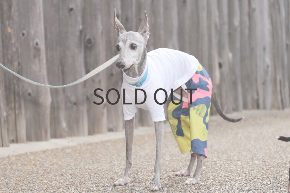 画像2: メロウカモフラ＋メッシュ（ホワイト） (2)