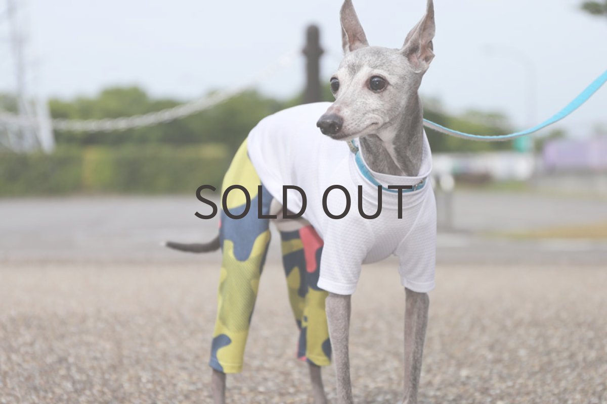 画像5: メロウカモフラ＋メッシュ（ホワイト） (5)