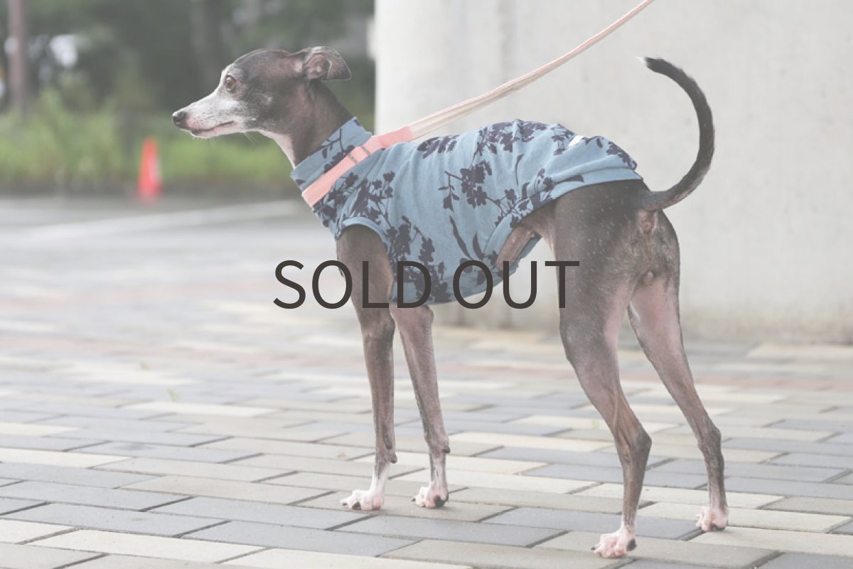 画像4: プランツプリント（ブルーグレー） (4)