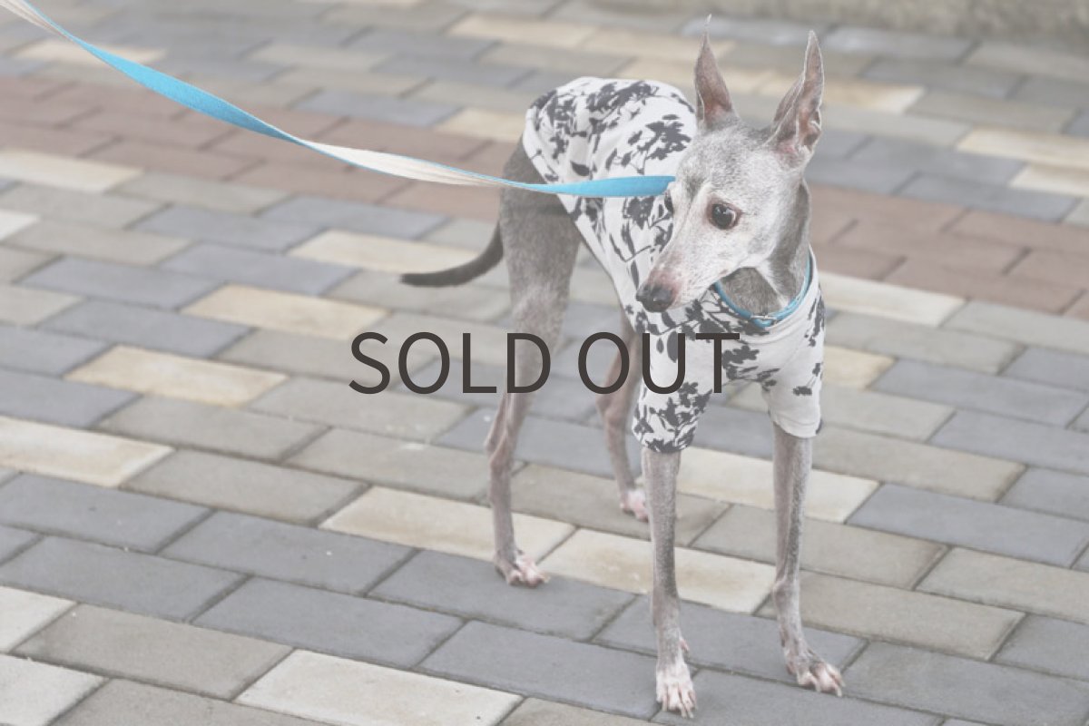 画像3: プランツプリント（ライトグレー）MLサイズ、ショート丈まで (3)