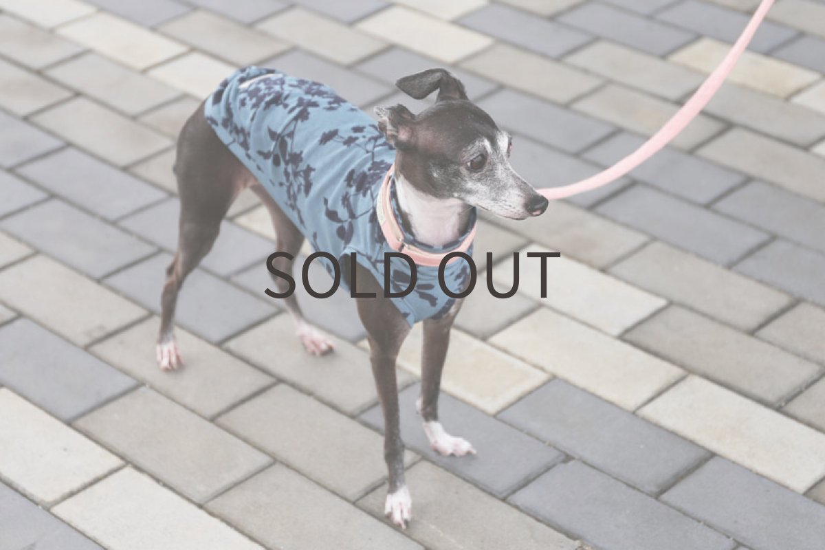 画像3: プランツプリント（ブルーグレー） (3)