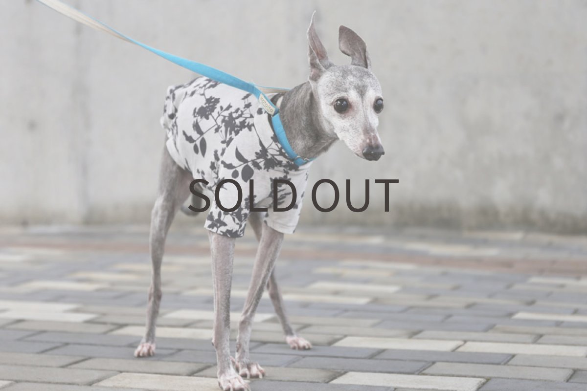 画像2: プランツプリント（ライトグレー）MLサイズ、ショート丈まで (2)