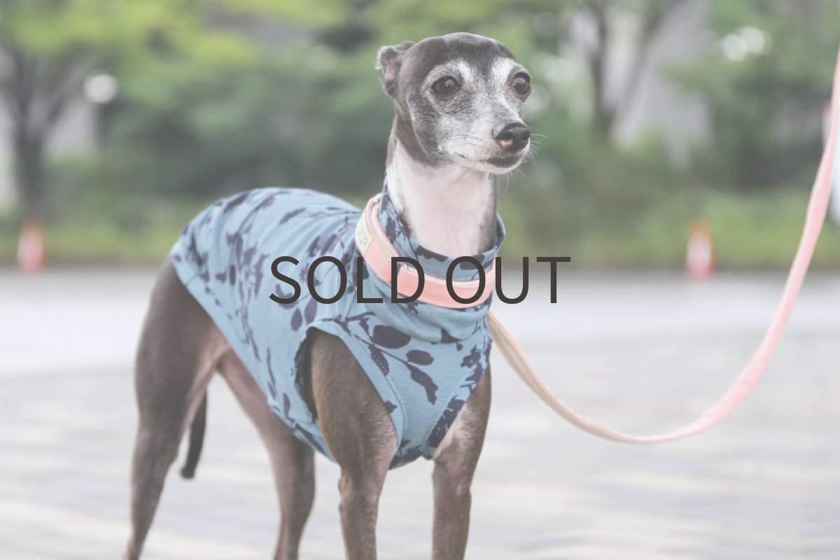 画像2: プランツプリント（ブルーグレー） (2)