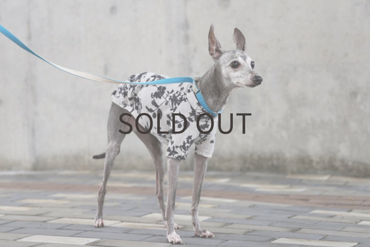 画像4: プランツプリント（ライトグレー）MLサイズ、ショート丈まで (4)