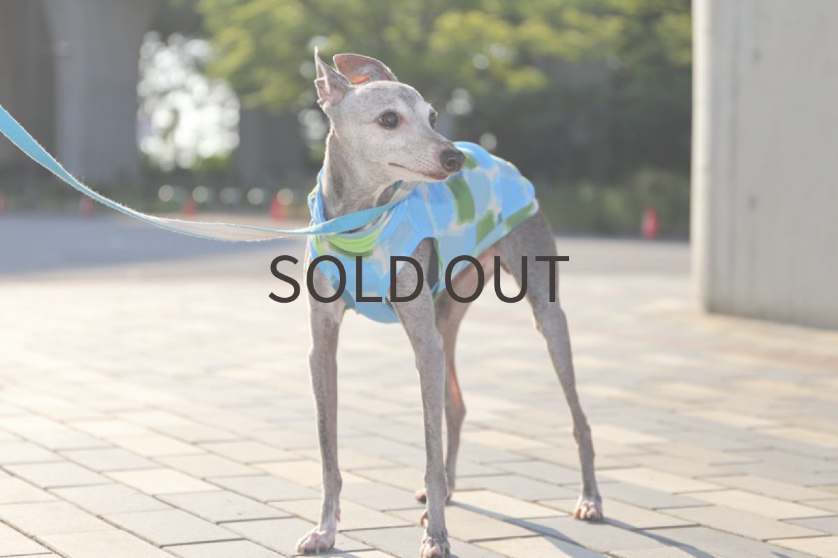 画像3: にじみブロック（スカイブルー）〜ノースリーブのみ (3)