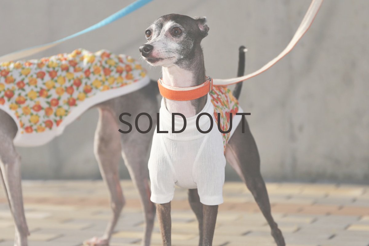 画像4: Orange!（ベビーピンク）〜Mサイズまで (4)