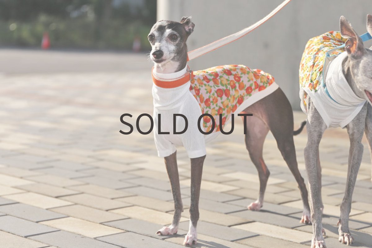 画像2: Orange!（ベビーピンク）〜Mサイズまで (2)