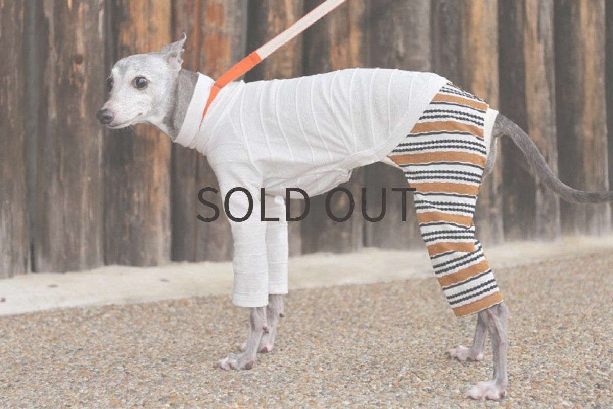 画像3: タックジャガードロンパース（ライトグレー） (3)