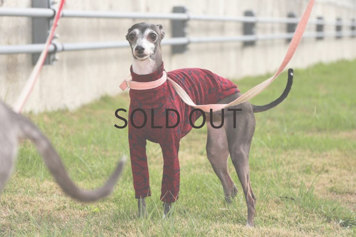 画像2: テンセルリバーニット（ワイン） (2)