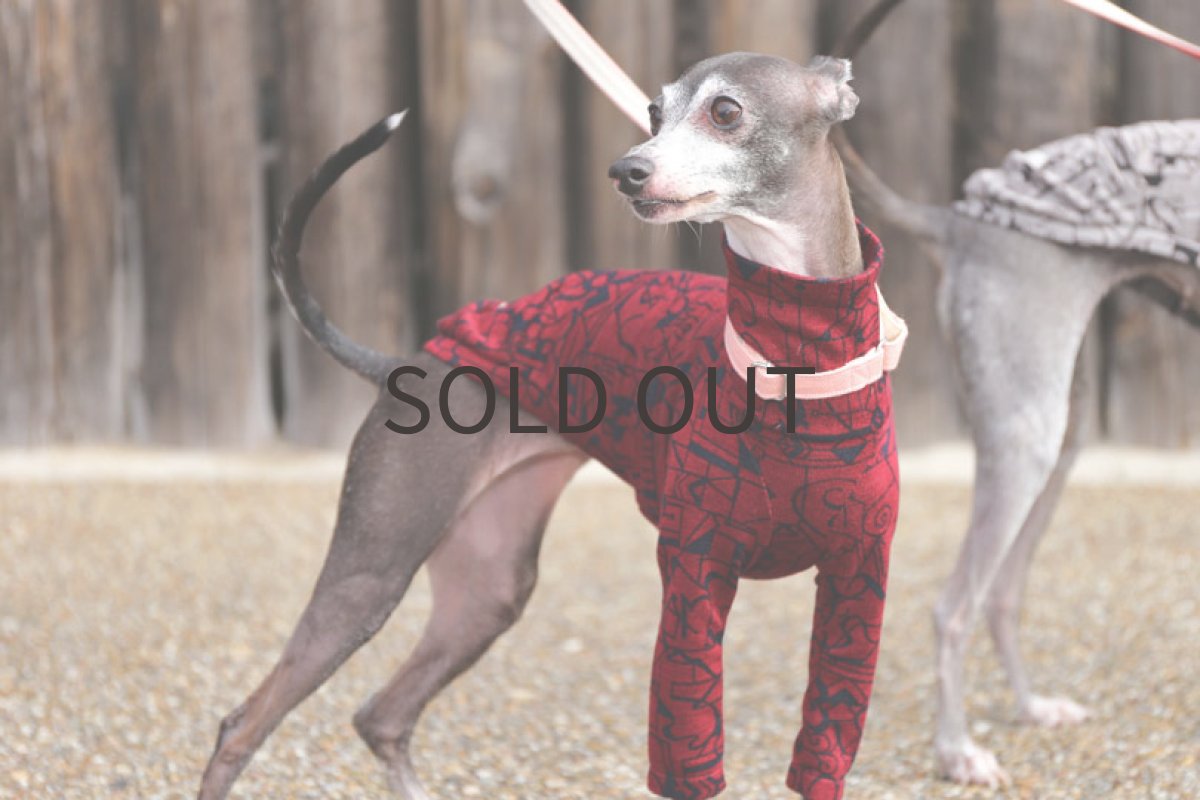 画像3: テンセルリバーニット（ワイン） (3)