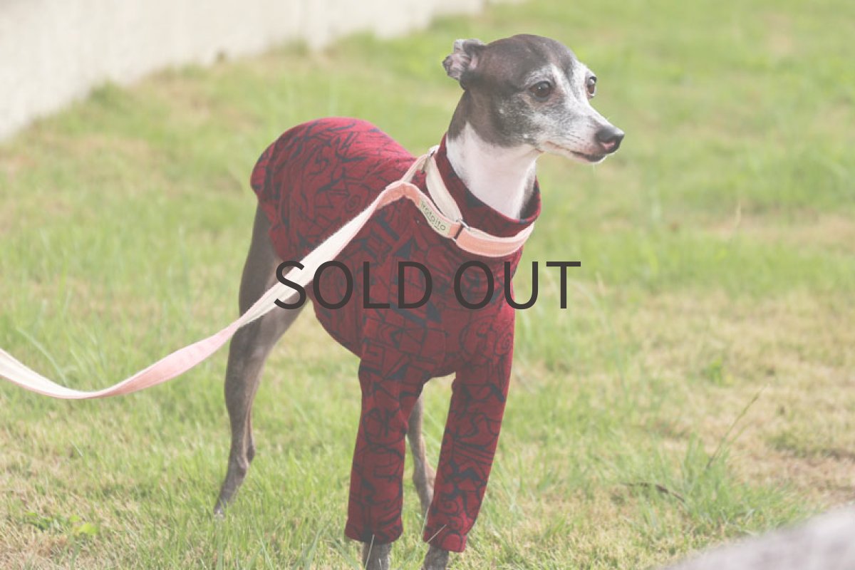 画像4: テンセルリバーニット（ワイン） (4)