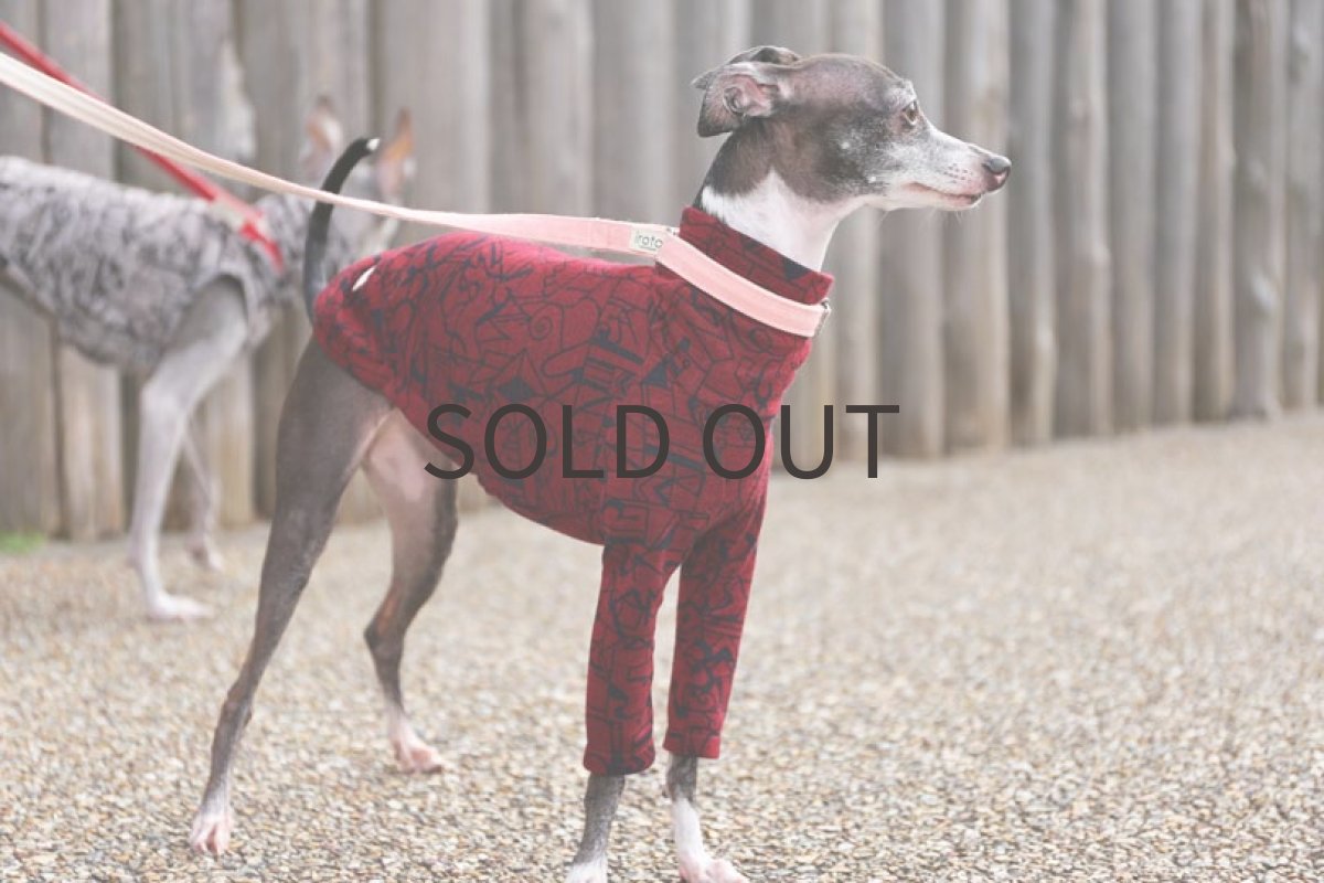 画像5: テンセルリバーニット（ワイン） (5)