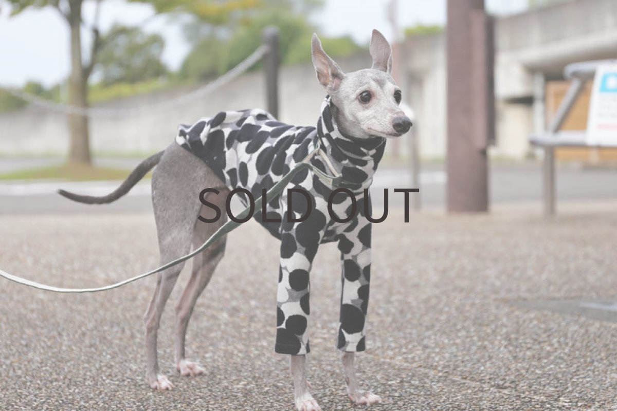 画像3: あわジャガード（グレー）〜MSサイズまで (3)