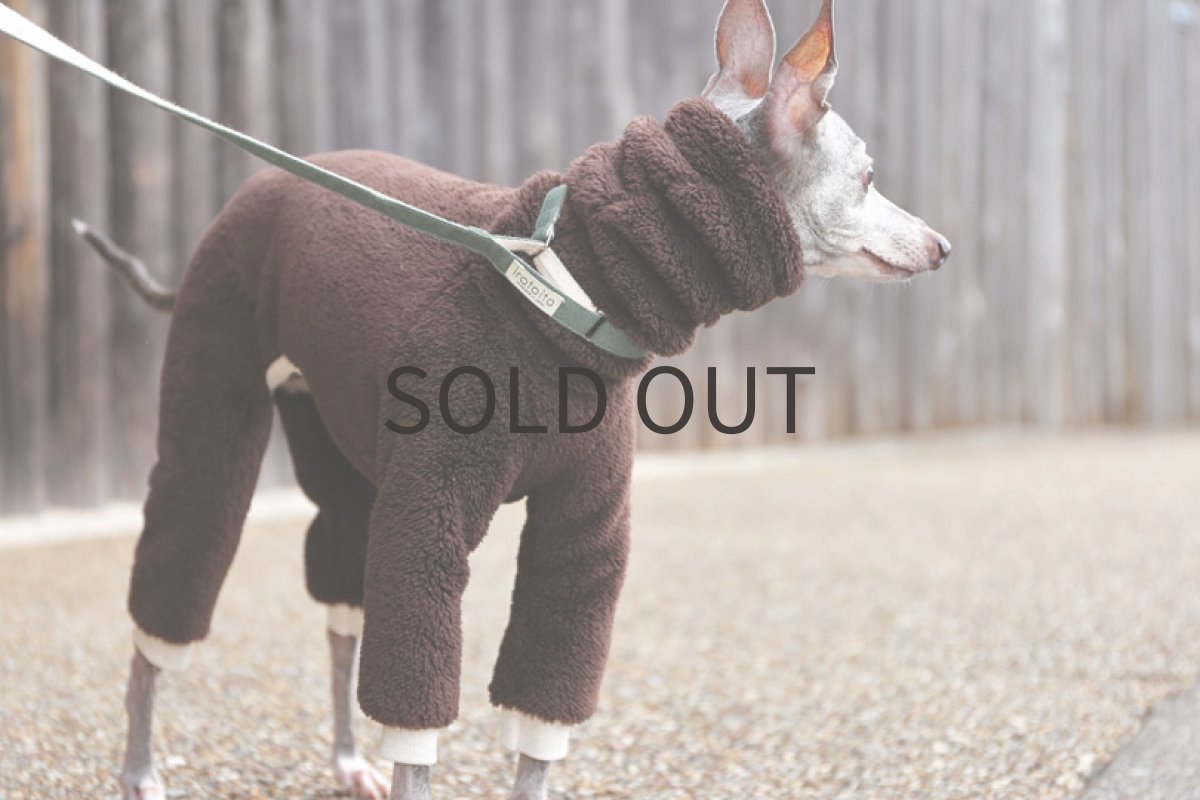 画像2: フワボア21（チョコ） (2)