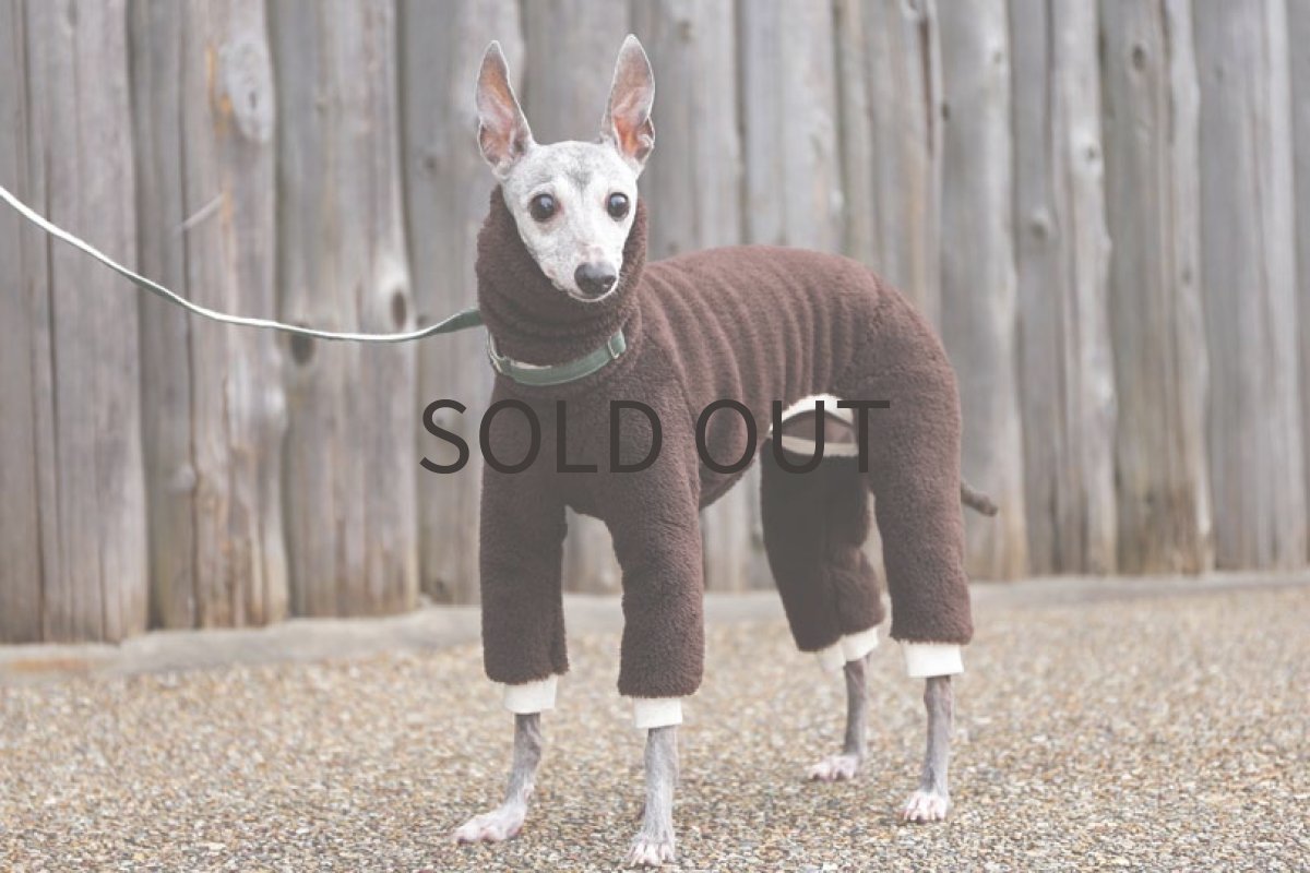 画像5: フワボア21（チョコ） (5)