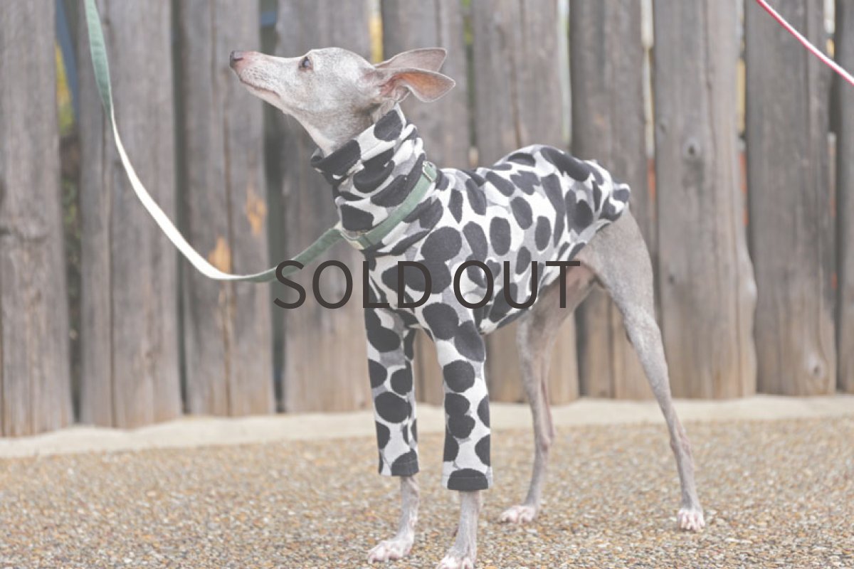 画像2: あわジャガード（グレー）〜MSサイズまで (2)