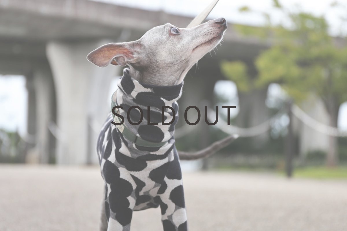 画像4: あわジャガード（グレー）〜MSサイズまで (4)