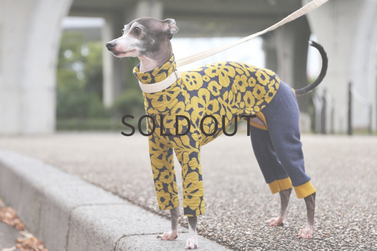 画像4: 【BISHU】マトラッセニット 〜ネックショート丈まで (4)